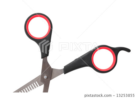 Professional Haircutting Scissors Professional Haircutting Scissors 13253855