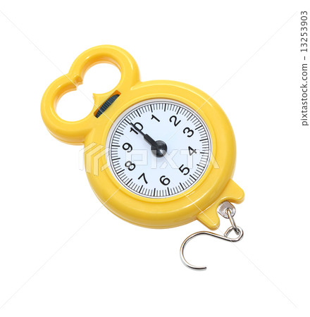 New Portable Weigher 13253903