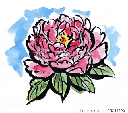牡丹 花朵 花 13254390