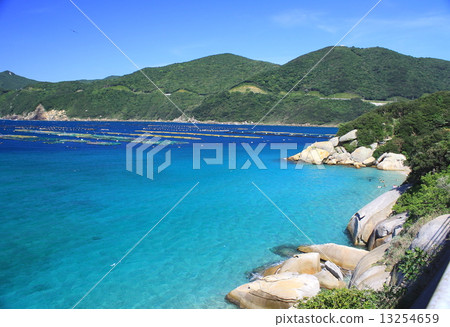 Kashiwa Island 13254659