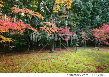 Kyoto Takagiri-in in Autumn 13254802