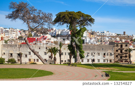 Tangier, Morocco. Street view with old trees Tangier, Morocco. Street view with old trees 13254827