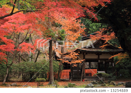 Kamigamo Shrine Interragency Garden in Kyoto Autumn Kamigamo Shrine Interragency Garden in Kyoto Autumn 13254889
