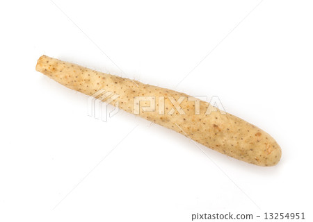 Potatoes 13254951