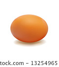 Egg Brown 13254965