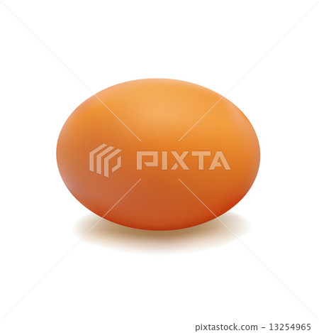 Egg Brown 13254965