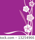 Frame purple 13254966