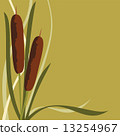 Frame Reed 13254967