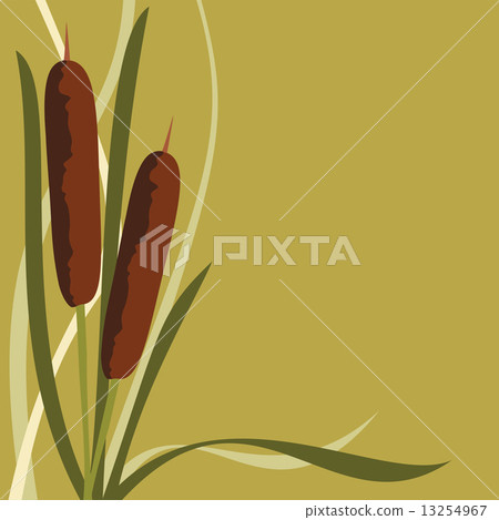 Frame Reed 13254967