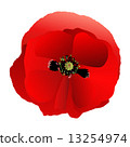 Poppy red gradient 13254974