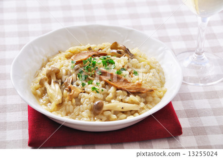 Porcini mushrooms cheese risotto 13255024