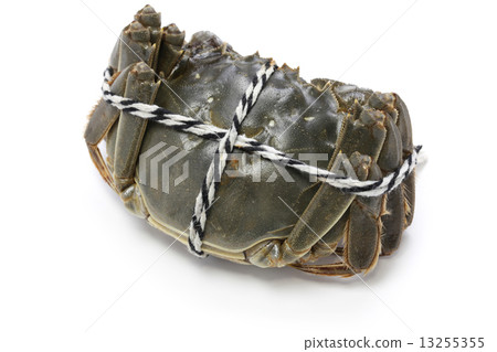 Shinkai crab (female) 13255355