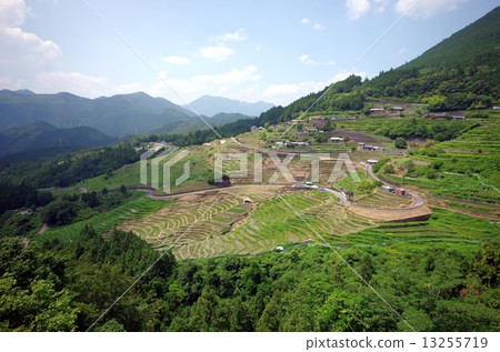 Maruyama Senjita Maruyama Senjita 13255719