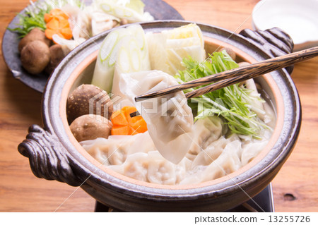 Dumpling pot 13255726
