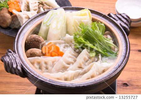 Dumpling pot 13255727