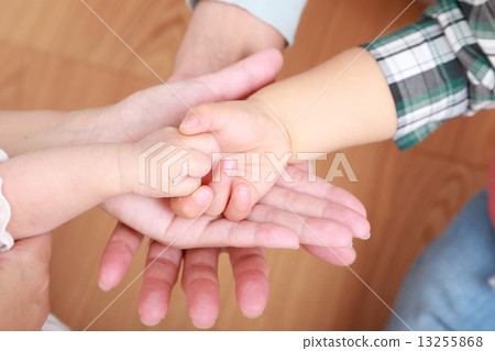 Family hand 13255868