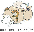 Sheep 13255926