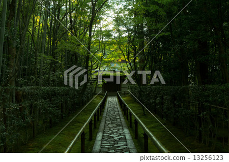 Daitokuji Takashiin的新鮮綠色 13256123