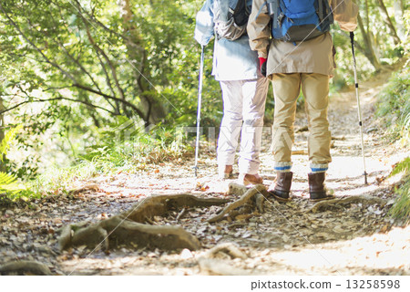 Senior mountaineering 13258598