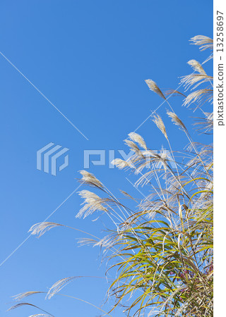 Senior mountaineering Senior mountaineering 13258697