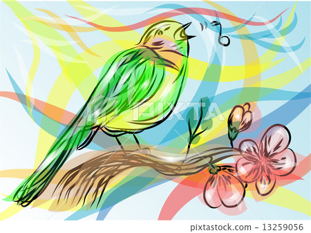 songbird songbird 13259056