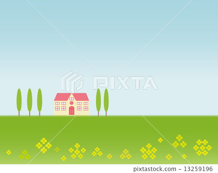 Spring landscape flower rape Spring landscape flower rape 13259196