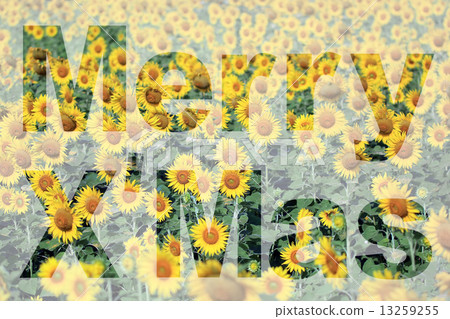 word merry x'mas 13259255