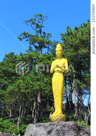 Nozomi Hanase Park銀杏形的Kannon雕像 13259460