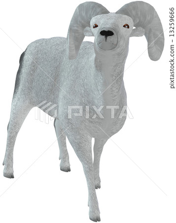 Sheep ☆ Bic Horn Sheep ☆ Bic Horn 13259666