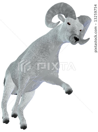 Sheep ☆ Bic Horn 13259754