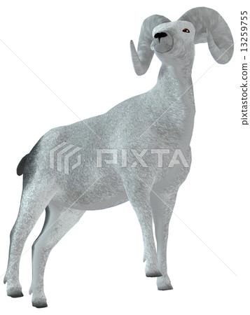 Sheep ☆ Bic Horn 13259755