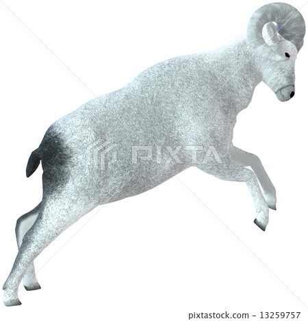 Sheep ☆ Bic Horn 13259757