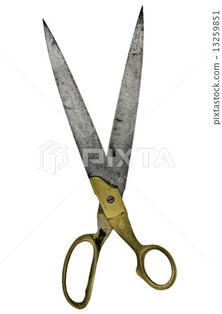 vintage shears 13259851