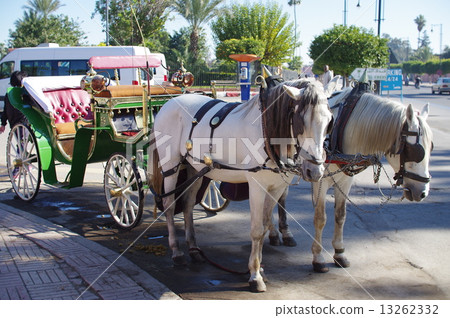 Carriage Marrakech Morocco 13262332