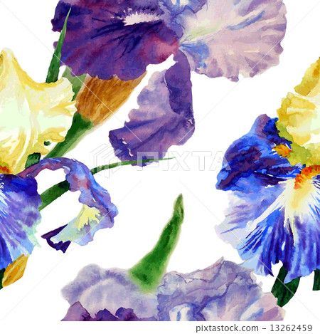 Seamless pattern  with color irises1-04 13262459