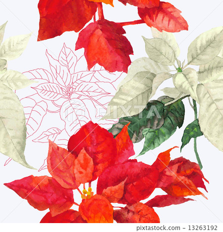 Seamless pattern with red poinsettia plant-05 Seamless pattern with red poinsettia plant-05 13263192