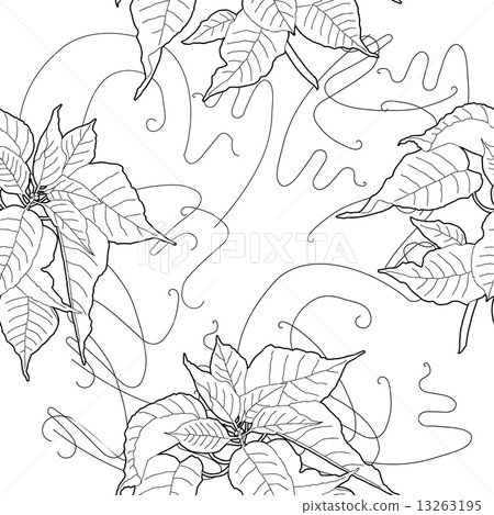 Seamless pattern with black and white poinsettia Seamless pattern with black and white poinsettia 13263195