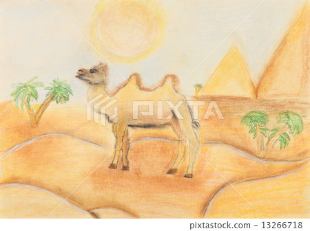 bactrian camel in hot desert 13266718