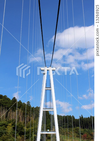 Kuju Yumae Suspension Bridge 13268925