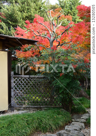 Narukusan in Autumn 13280505