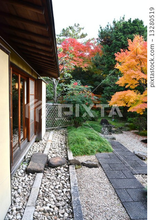 Narukusan在秋天 13280519