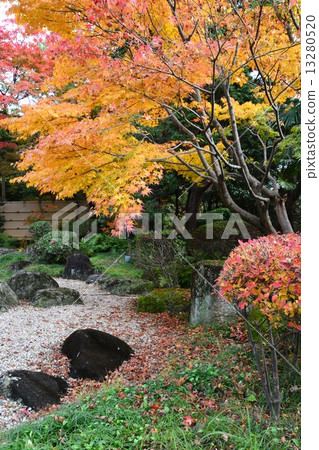 Narukusan在秋天 13280520