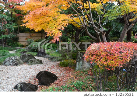 Narukusan在秋天 13280521