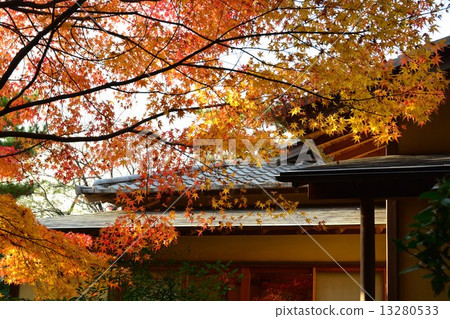 Narukusan in Autumn 13280533