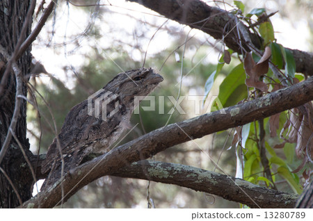 Gamaguchi Yotaka defensive posture 13280789