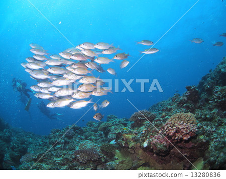 一組鋸模 一組鋸模 13280836