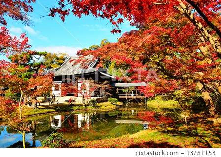 Kodaiji Temple Autumn leaves 13281153