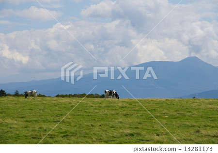 Ranch 13281173