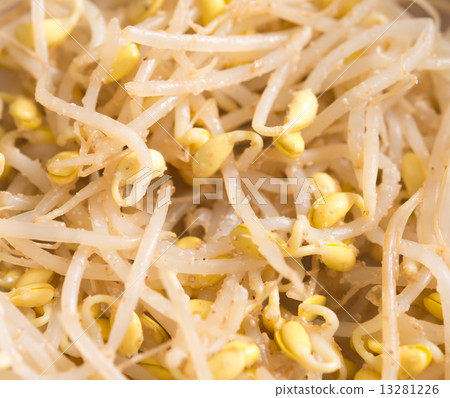 Bean sprouts sesame Bean sprouts sesame 13281226
