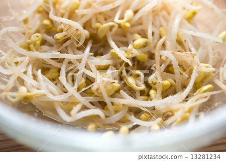 Bean sprouts sesame Bean sprouts sesame 13281234